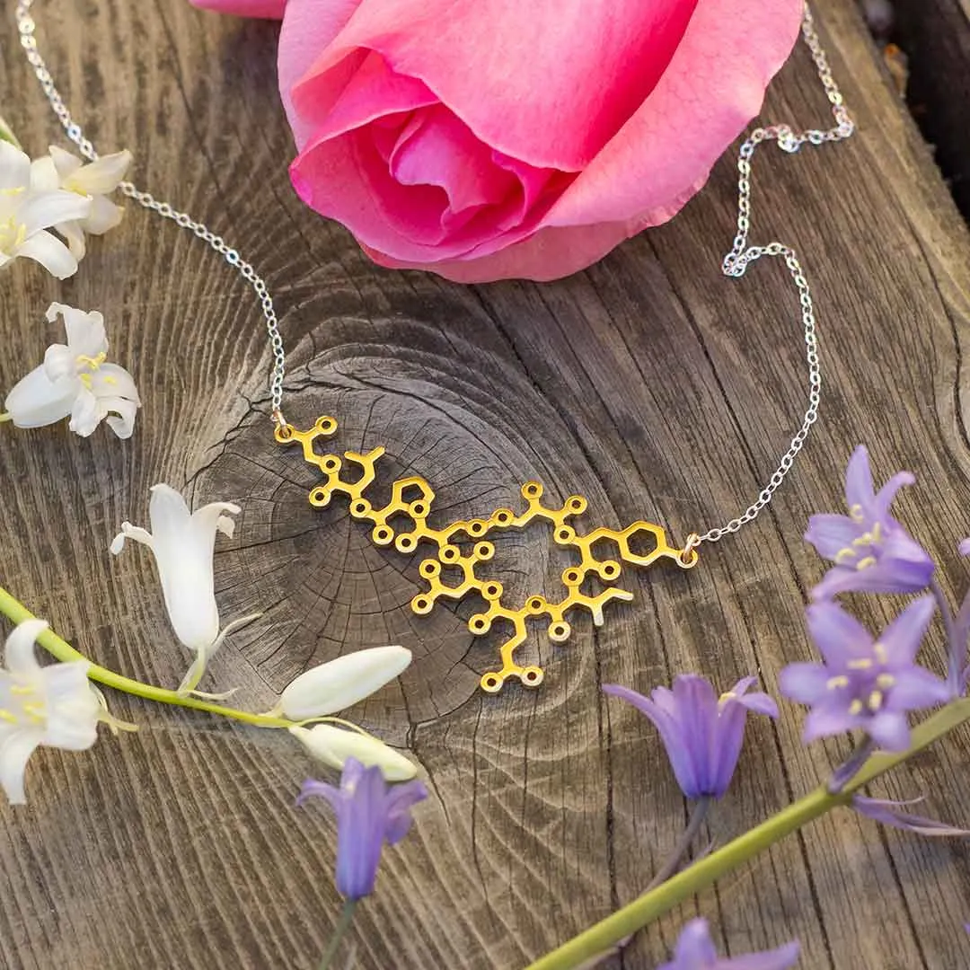 Oxytocin Necklace