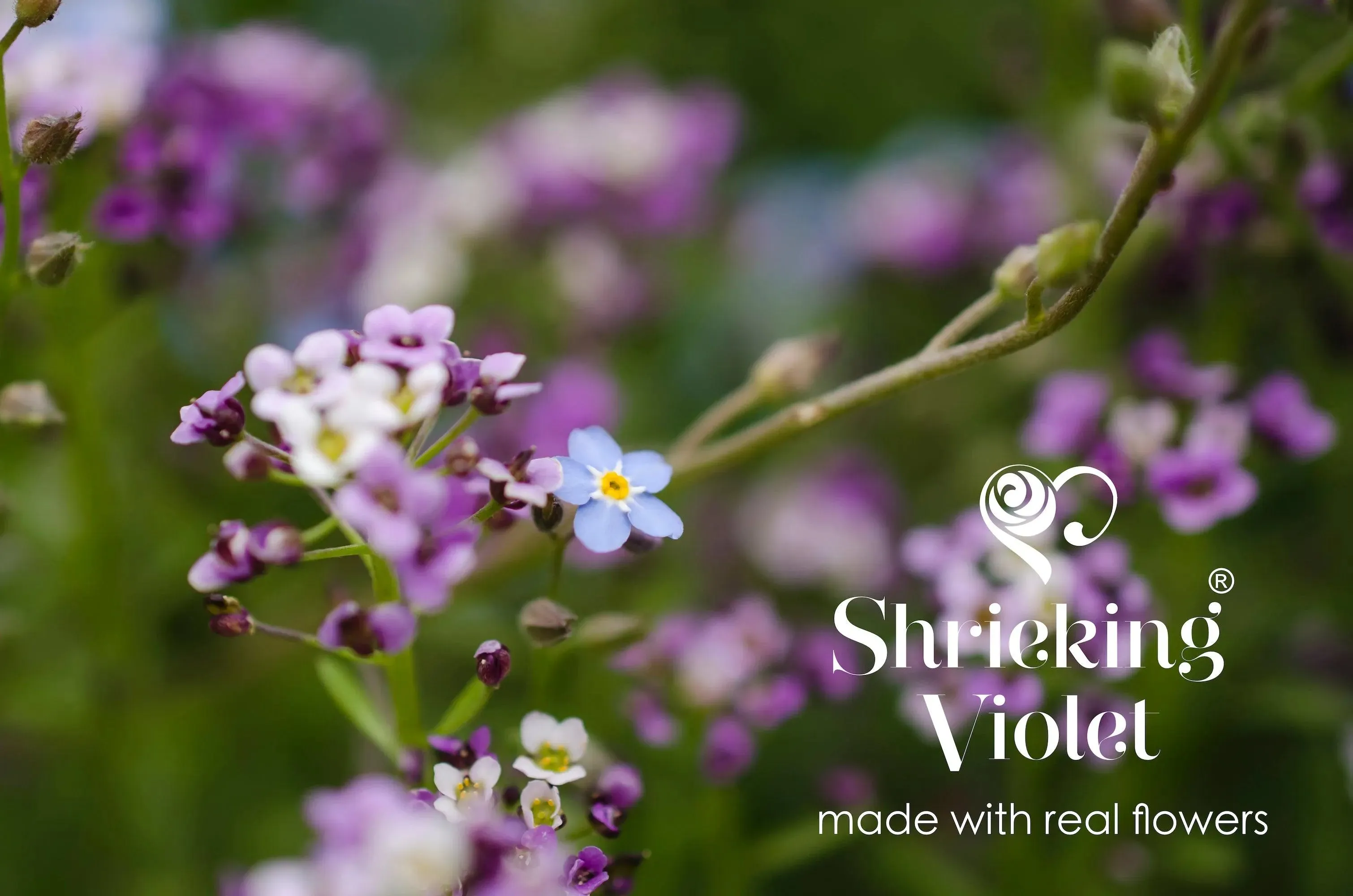 Sterling Silver Evil Eye Pendant necklace | Tiny Forget me nots & purple Verbena flowers