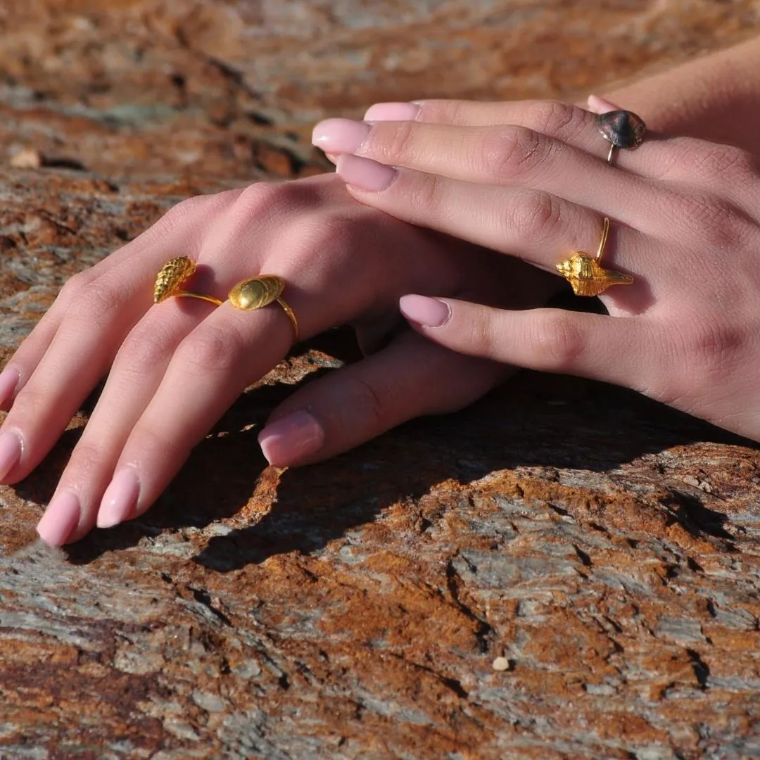 Wild seashell - ring - silver 925 - gold plated